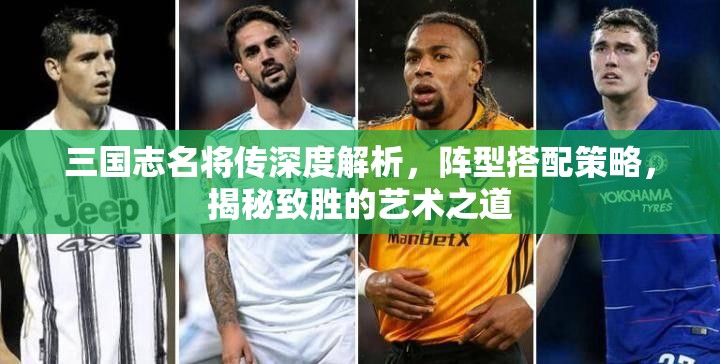 三国志名将传深度解析，阵型搭配策略，揭秘致胜的艺术之道