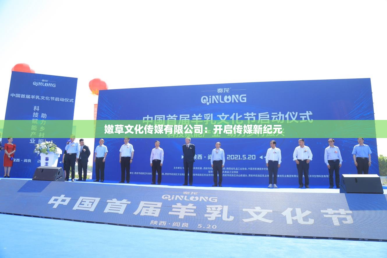 嫩草文化传媒有限公司：开启传媒新纪元