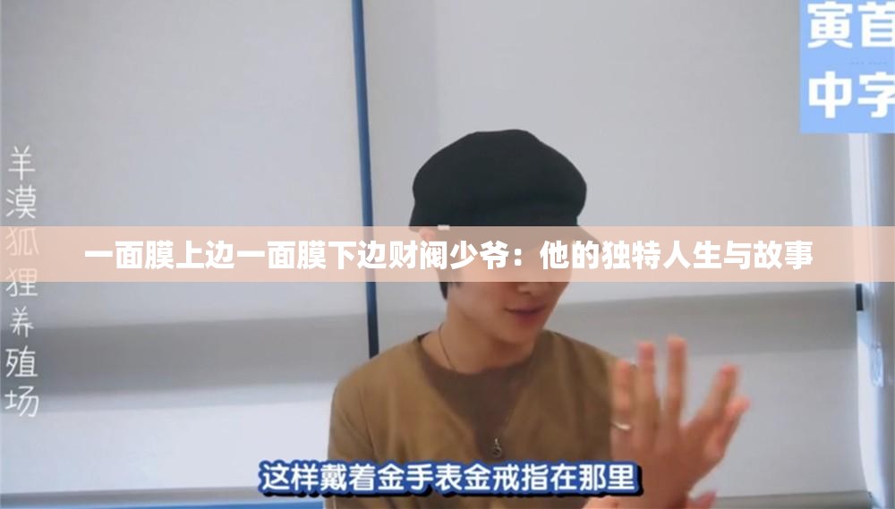 一面膜上边一面膜下边财阀少爷：他的独特人生与故事