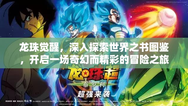 龙珠觉醒，深入探索世界之书图鉴，开启一场奇幻而精彩的冒险之旅