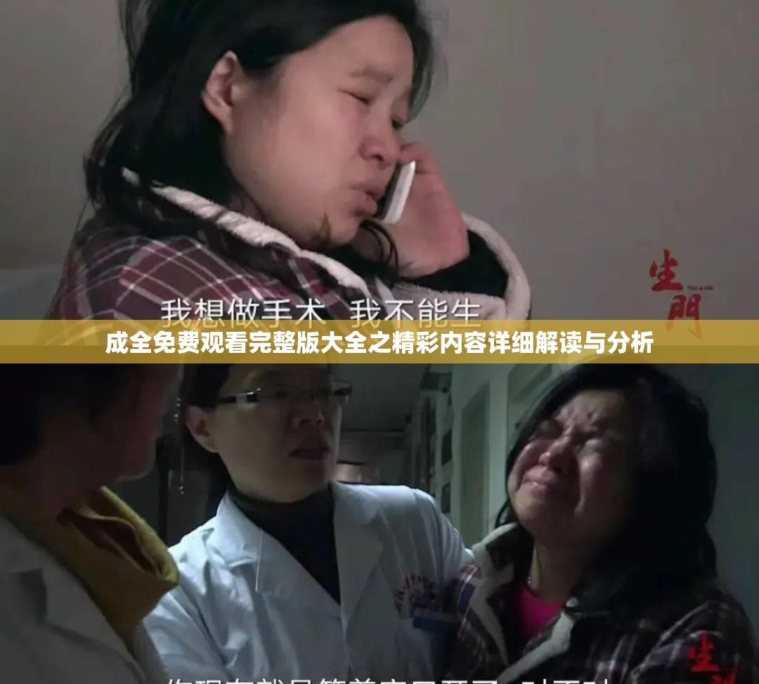成全免费观看完整版大全之精彩内容详细解读与分析