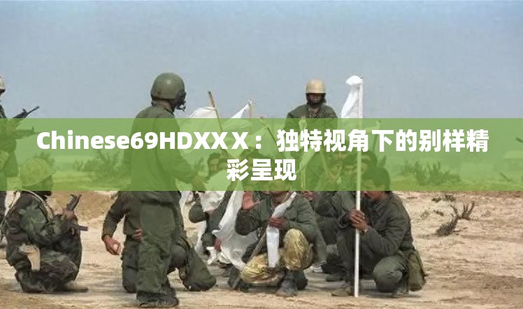 Chinese69HDXXⅩ：独特视角下的别样精彩呈现