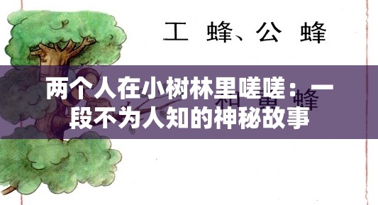 两个人在小树林里嗟嗟：一段不为人知的神秘故事