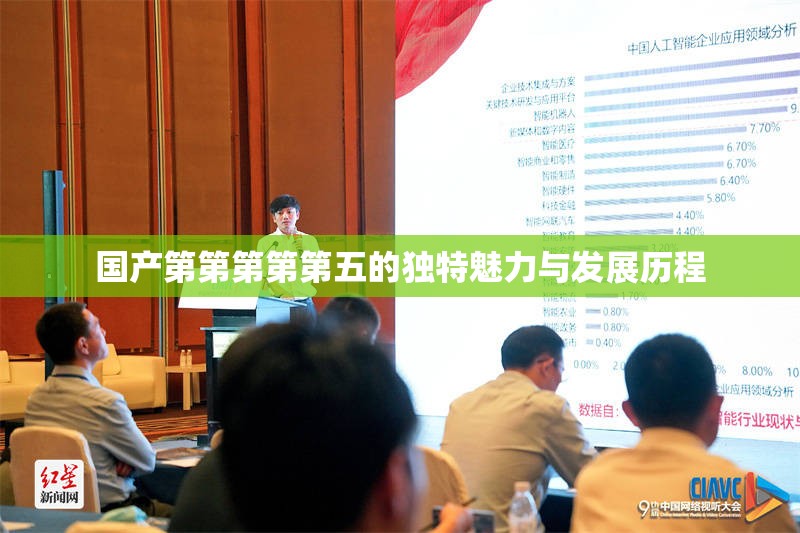 国产第第第第第五的独特魅力与发展历程
