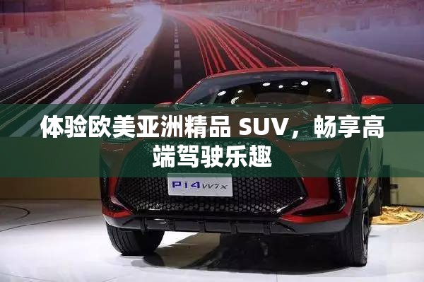 体验欧美亚洲精品 SUV，畅享高端驾驶乐趣