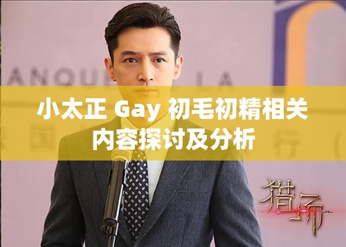 小太正 Gay 初毛初精相关内容探讨及分析