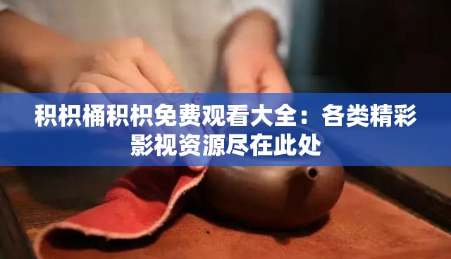 积枳桶积枳免费观看大全：各类精彩影视资源尽在此处