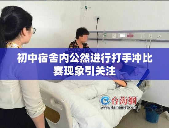 初中宿舍内公然进行打手冲比赛现象引关注