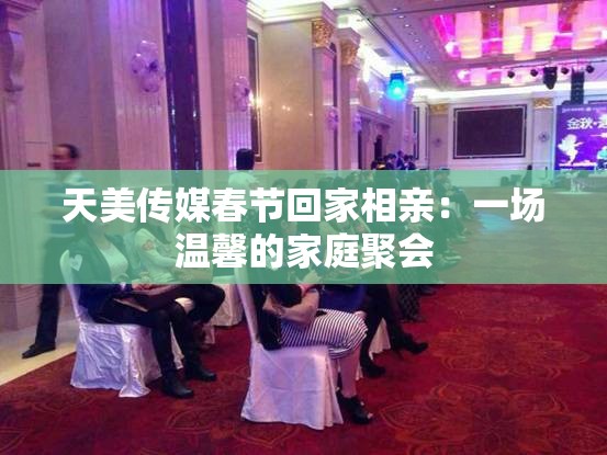 天美传媒春节回家相亲：一场温馨的家庭聚会