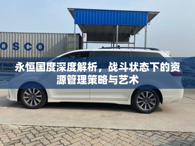 永恒国度深度解析，战斗状态下的资源管理策略与艺术