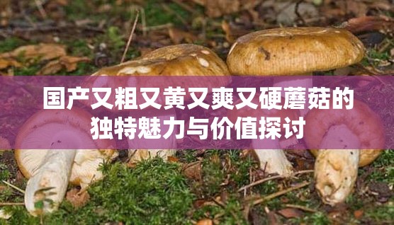国产又粗又黄又爽又硬蘑菇的独特魅力与价值探讨