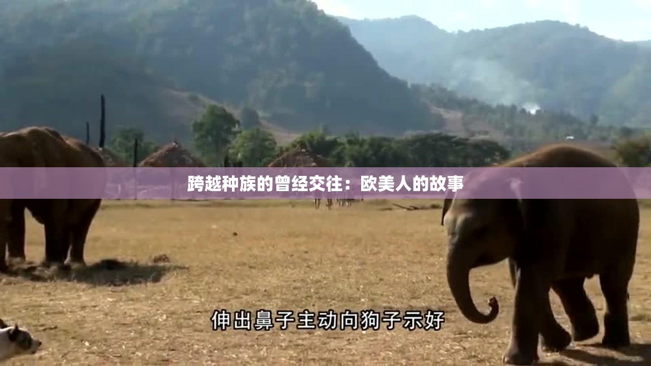 跨越种族的曾经交往：欧美人的故事