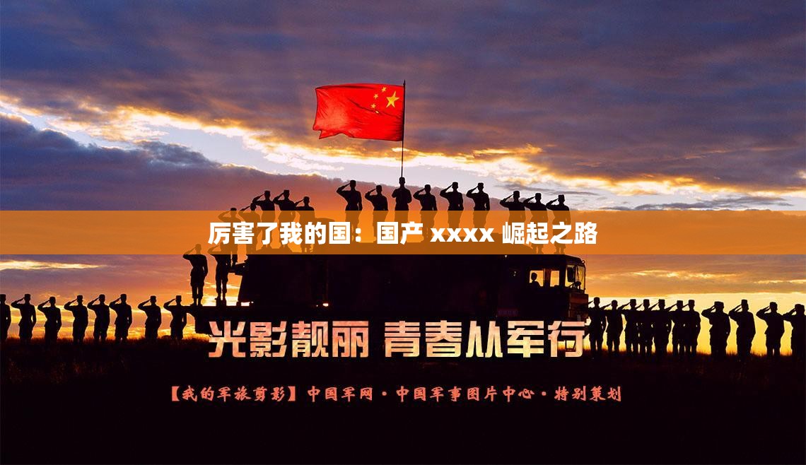 厉害了我的国：国产 xxxx 崛起之路