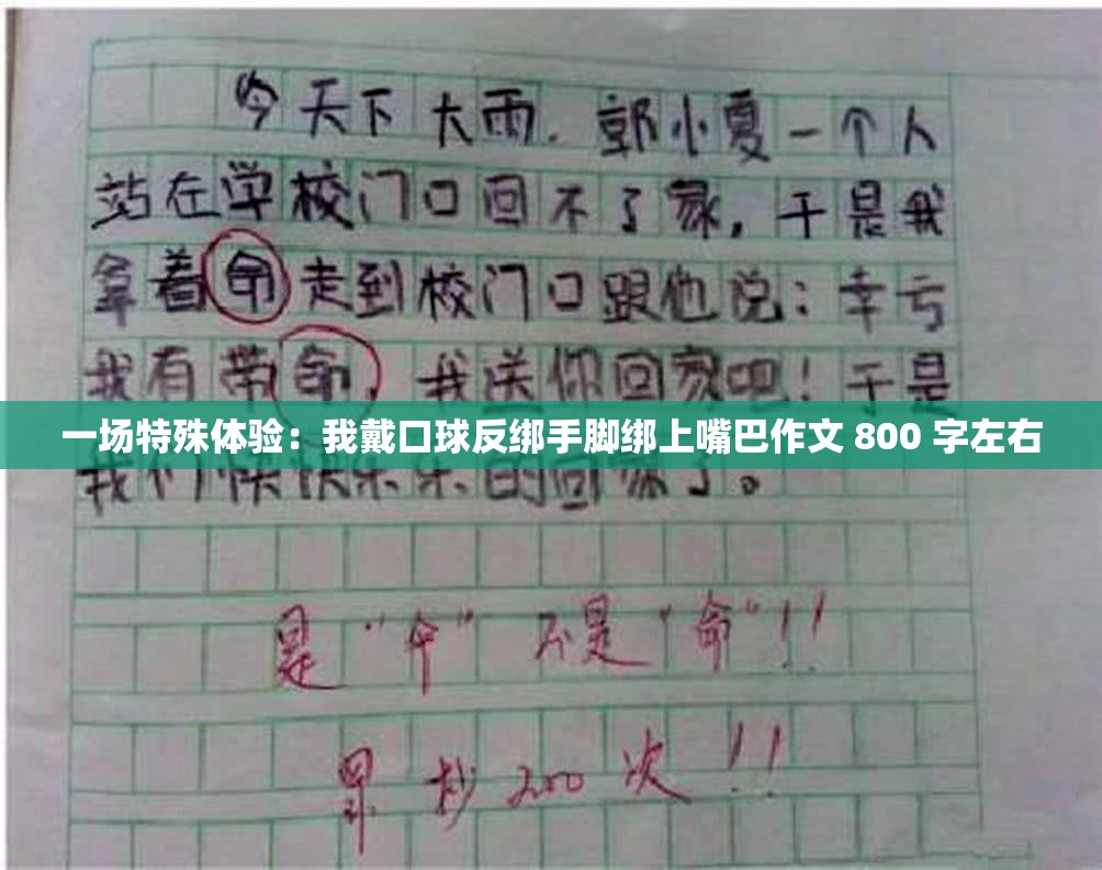 一场特殊体验：我戴口球反绑手脚绑上嘴巴作文 800 字左右