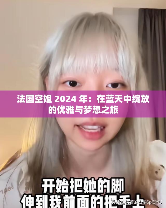 法国空姐 2024 年：在蓝天中绽放的优雅与梦想之旅