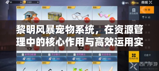 黎明风暴宠物系统，在资源管理中的核心作用与高效运用实战策略