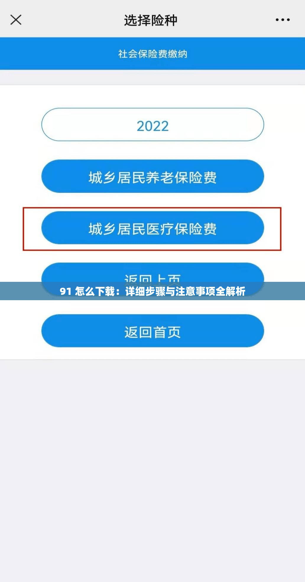 91 怎么下载：详细步骤与注意事项全解析