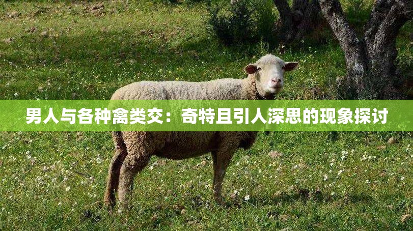 男人与各种禽类交：奇特且引人深思的现象探讨