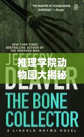 推理学院动物园大揭秘，深入解析森林服装在资源管理中的核心价值与高效运用攻略