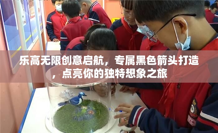 乐高无限创意启航，专属黑色箭头打造，点亮你的独特想象之旅