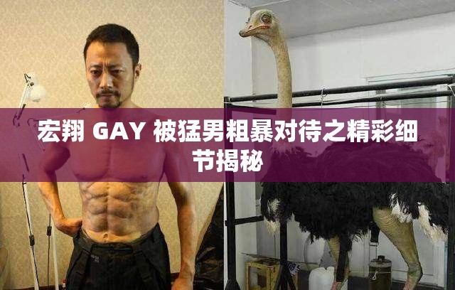 宏翔 GAY 被猛男粗暴对待之精彩细节揭秘