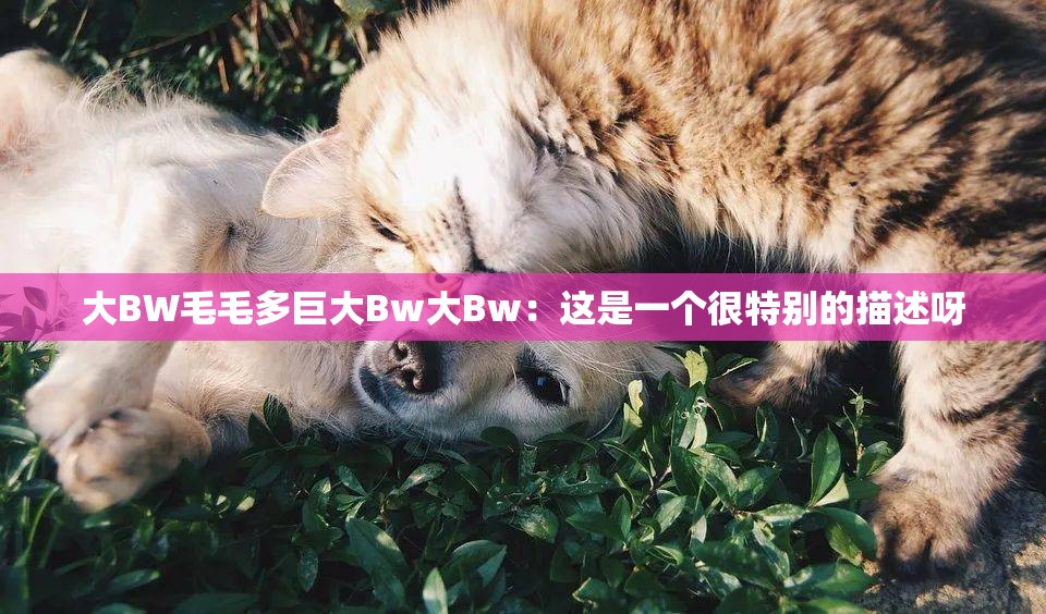 大BW毛毛多巨大Bw大Bw：这是一个很特别的描述呀