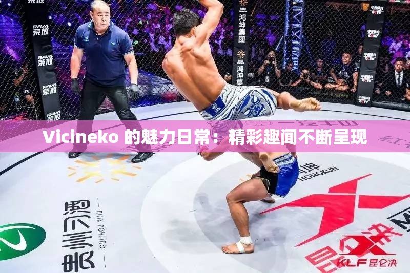 Vicineko 的魅力日常：精彩趣闻不断呈现