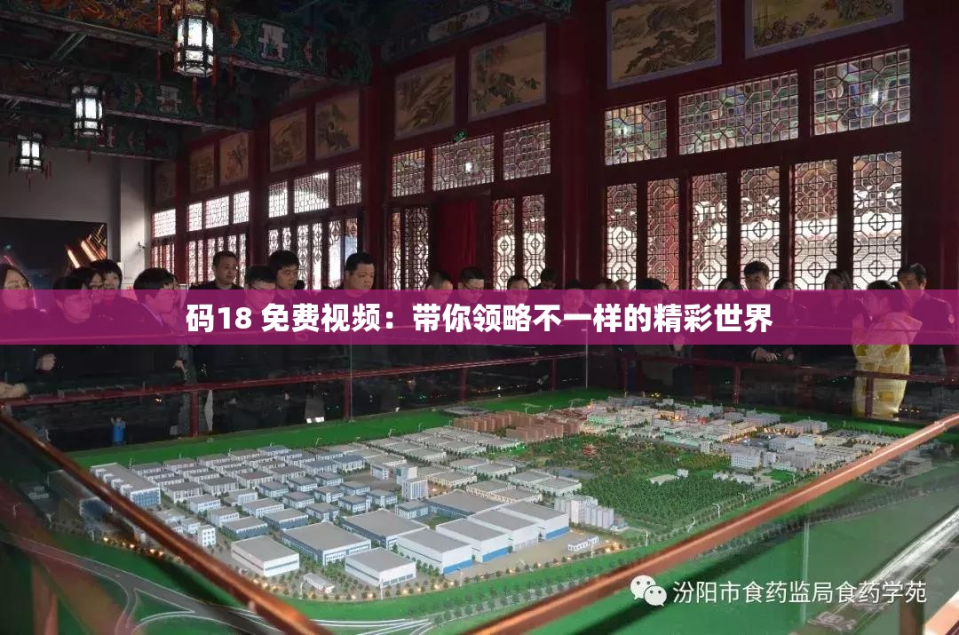 码18 免费视频：带你领略不一样的精彩世界