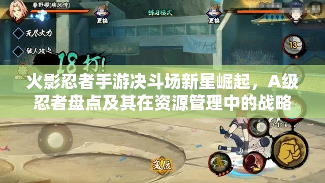 火影忍者手游决斗场新星崛起，A级忍者盘点及其在资源管理中的战略意义