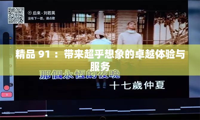 精品 91 ：带来超乎想象的卓越体验与服务