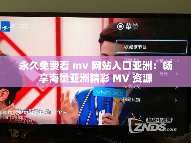 永久免费看 mv 网站入口亚洲：畅享海量亚洲精彩 MV 资源