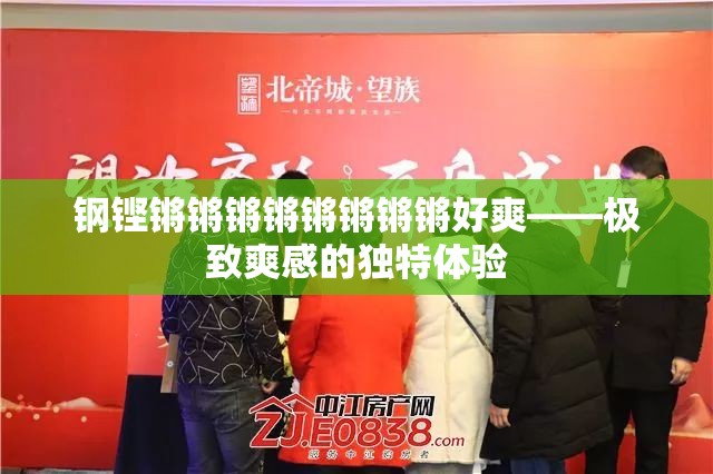 钢铿锵锵锵锵锵锵锵锵好爽——极致爽感的独特体验