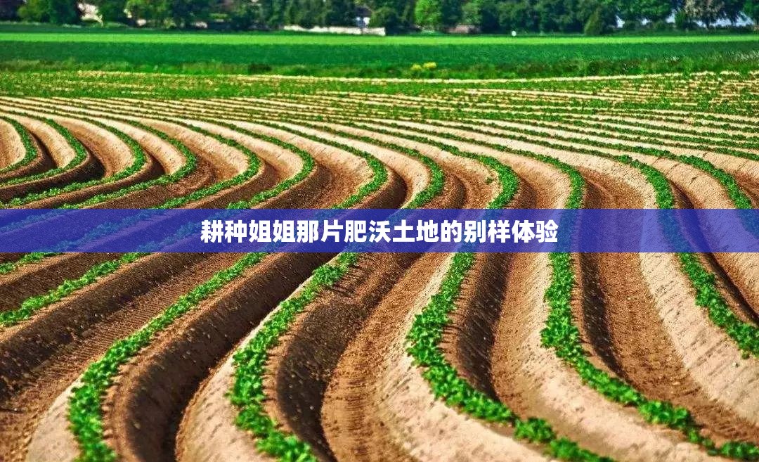 耕种姐姐那片肥沃土地的别样体验