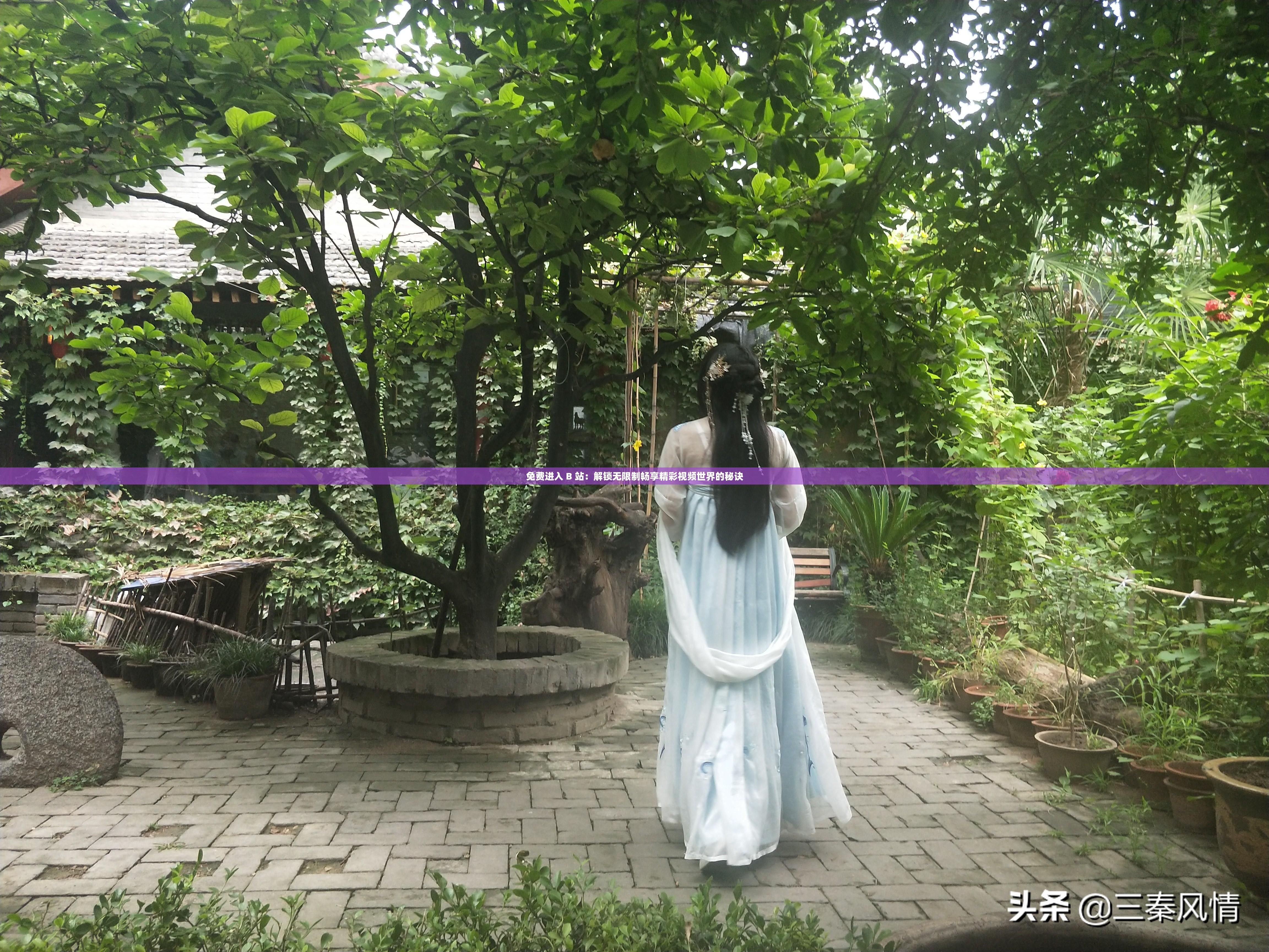 免费进入 B 站：解锁无限制畅享精彩视频世界的秘诀