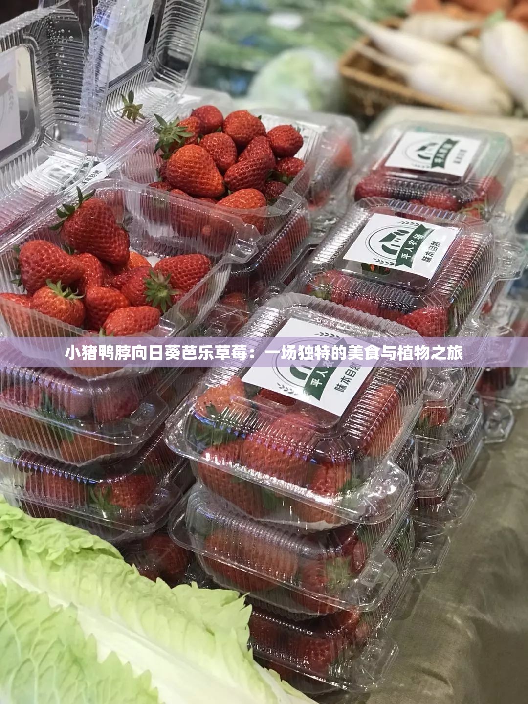 小猪鸭脖向日葵芭乐草莓：一场独特的美食与植物之旅