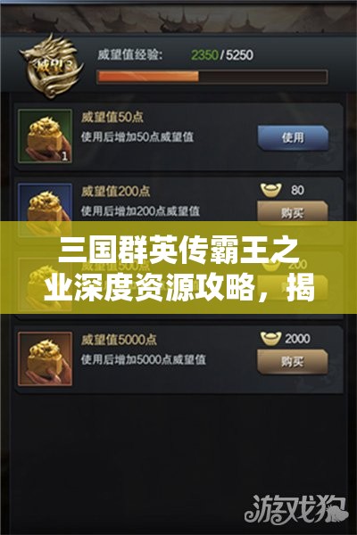 三国群英传霸王之业深度资源攻略，揭秘快速获取资源的绝密技巧