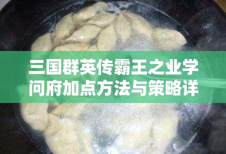 三国群英传霸王之业学问府加点方法与策略详解