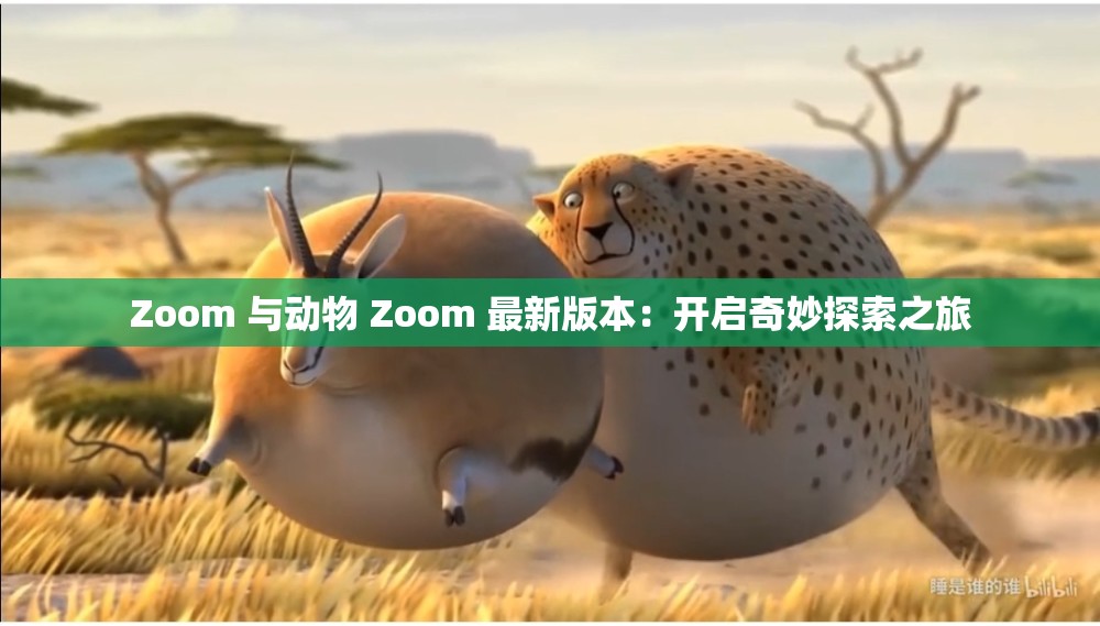Zoom 与动物 Zoom 最新版本：开启奇妙探索之旅