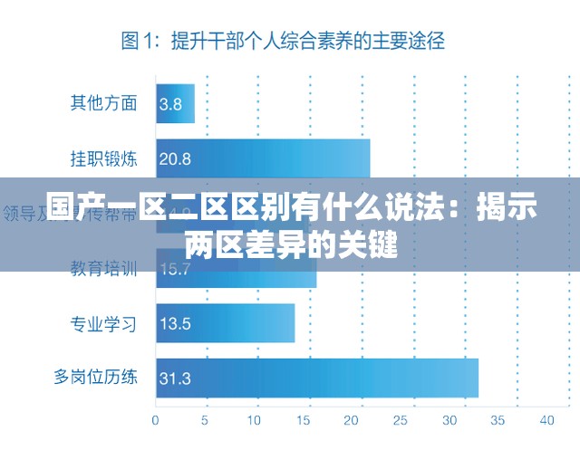 国产一区二区区别有什么说法：揭示两区差异的关键