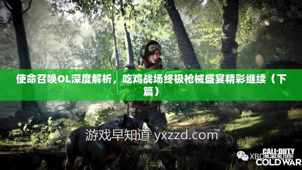 使命召唤OL深度解析，吃鸡战场终极枪械盛宴精彩继续（下篇）