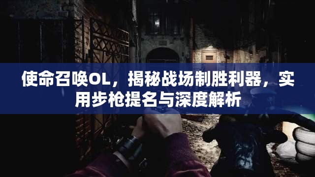 使命召唤OL，揭秘战场制胜利器，实用步枪提名与深度解析