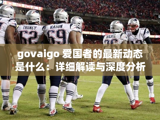 govaigo 爱国者的最新动态是什么：详细解读与深度分析
