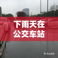 下雨天在公交车站避雨的实用技巧分享