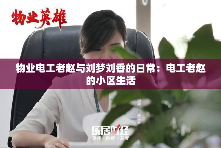 物业电工老赵与刘梦刘香的日常：电工老赵的小区生活