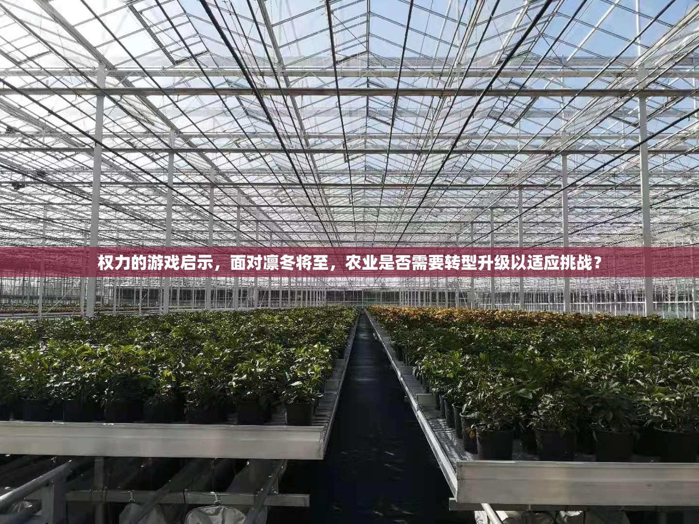 权力的游戏启示，面对凛冬将至，农业是否需要转型升级以适应挑战？