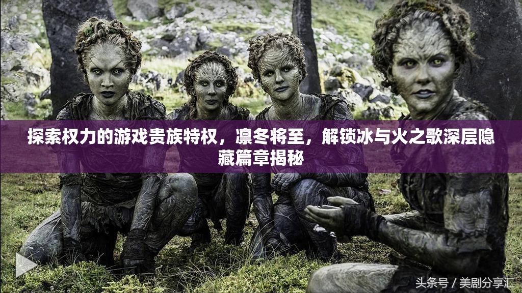 探索权力的游戏贵族特权，凛冬将至，解锁冰与火之歌深层隐藏篇章揭秘
