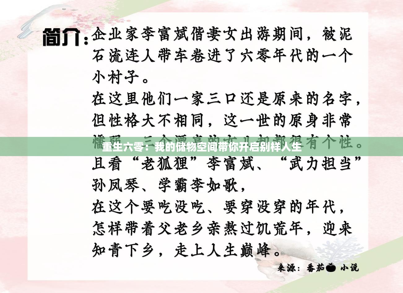 重生六零：我的储物空间带你开启别样人生