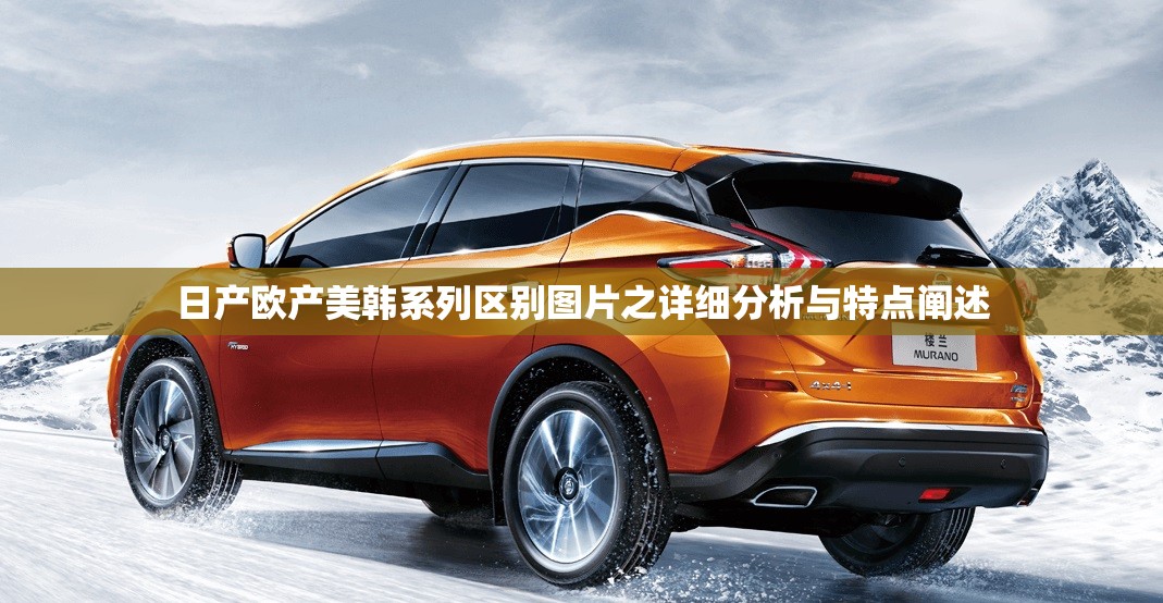 日产欧产美韩系列区别图片之详细分析与特点阐述