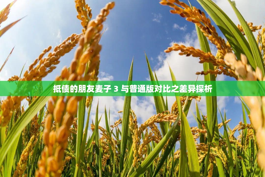 抵债的朋友麦子 3 与普通版对比之差异探析