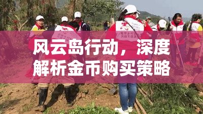 风云岛行动，深度解析金币购买策略，风铃儿与军火性价比对比